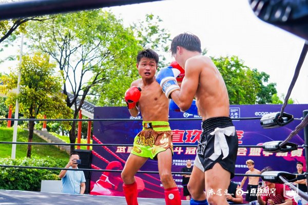 粤友优配 格斗大会“武”动东莞天鹅湖，展示中华武术精神