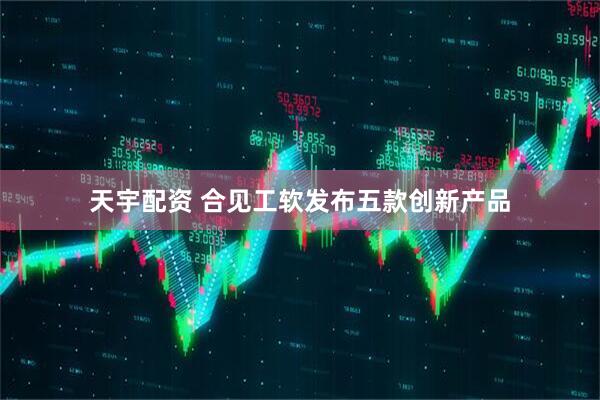 天宇配资 合见工软发布五款创新产品