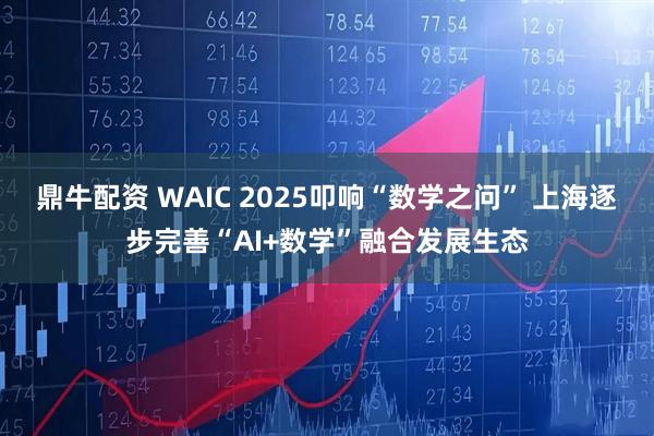 鼎牛配资 WAIC 2025叩响“数学之问” 上海逐步完善“AI+数学”融合发展生态