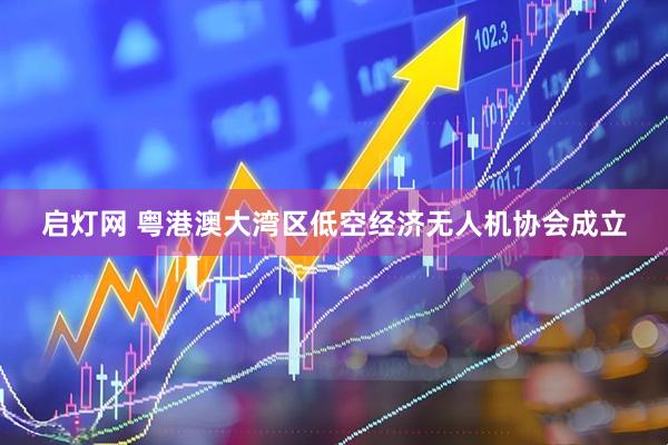 启灯网 粤港澳大湾区低空经济无人机协会成立